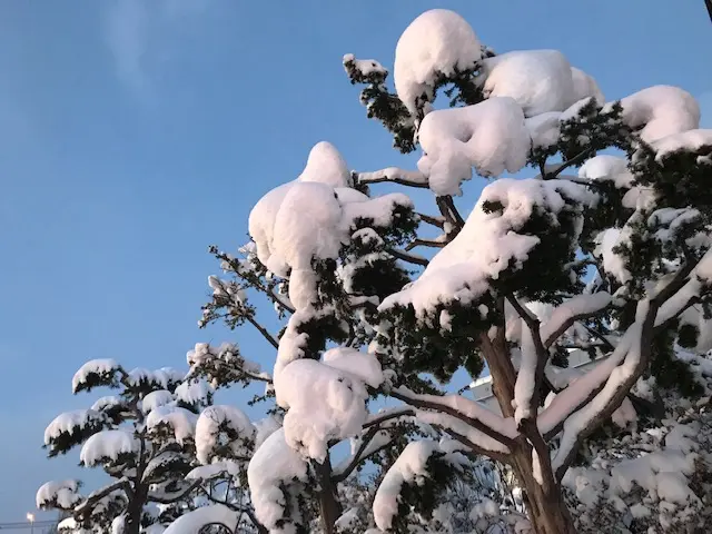 北海道冬